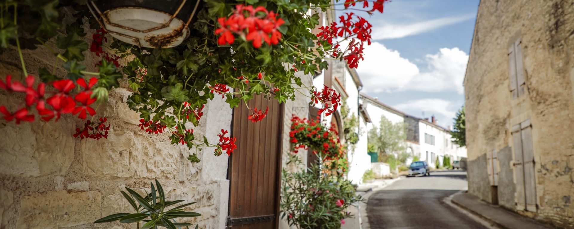  - Activités - tuson